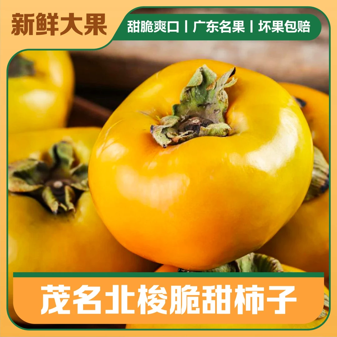 【新鲜大果】正宗广东信宜北梭柿甜柿脆甜无涩水果肉厚香甜即食包邮