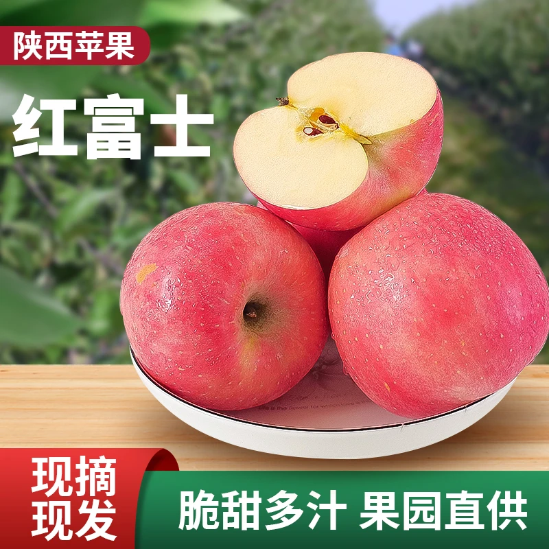 【陕西当季特级高山红富士实惠10斤装】（净重8.5±0.2斤, 75mm-90mm）