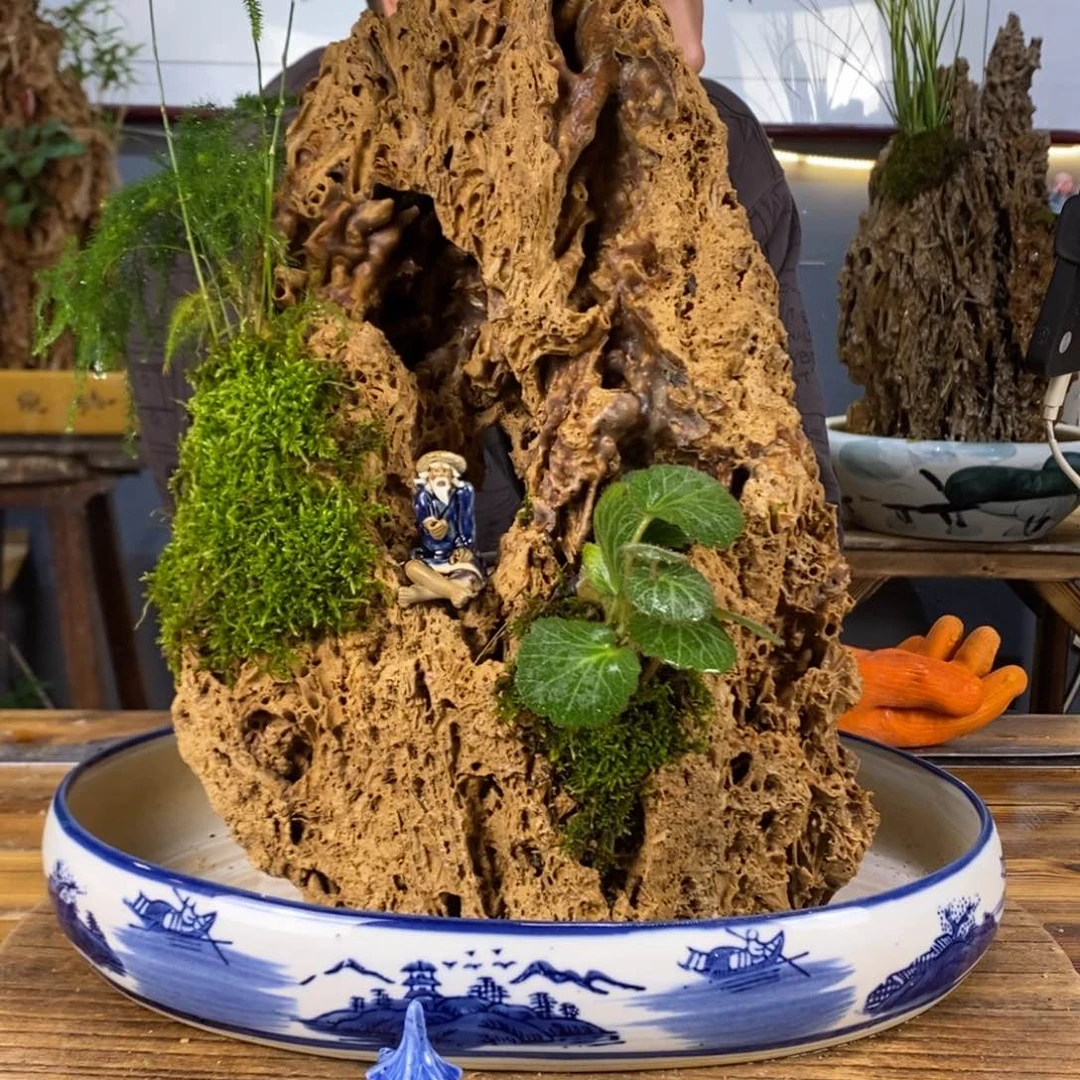 吸水石带盆带摆件