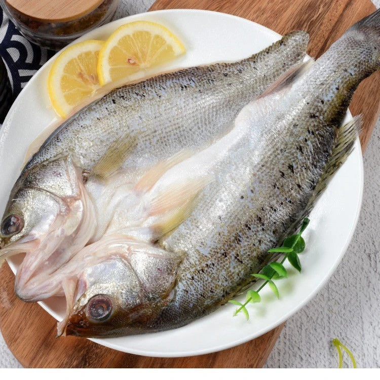 海鲈鱼（800-900g）每袋开背新鲜冷冻鲜活深海鱼蒜瓣七星鲈鱼半成品