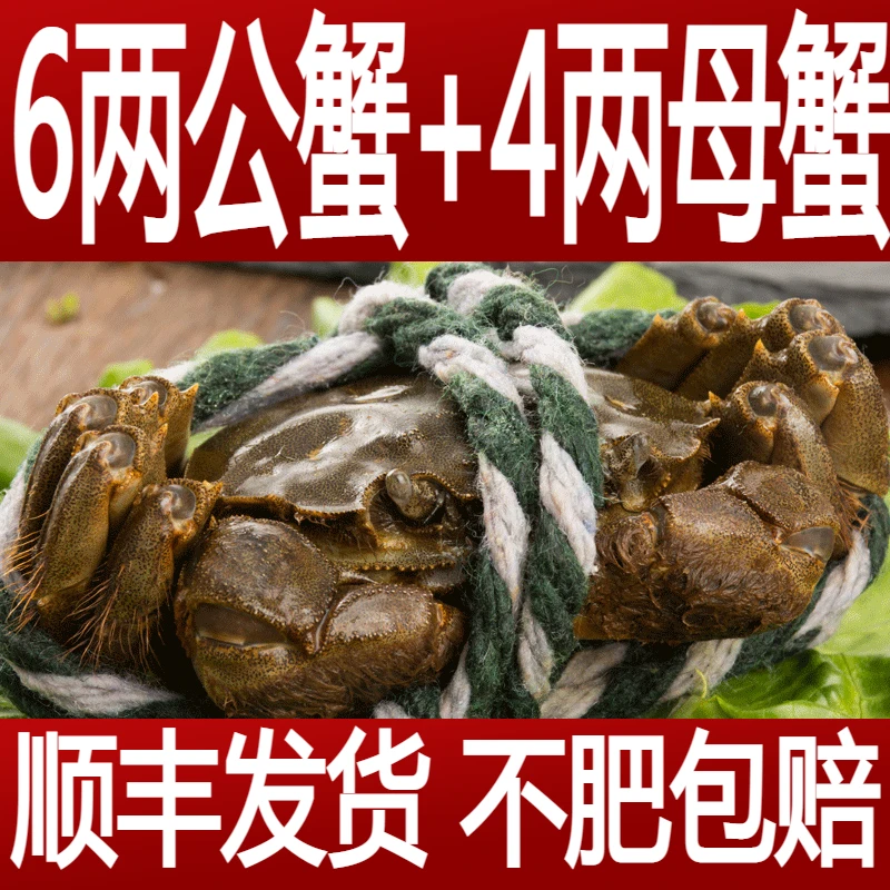 活蟹6两公3只+4两母3只大闸蟹鲜活螃蟹礼盒水产河蟹饱满养殖发货