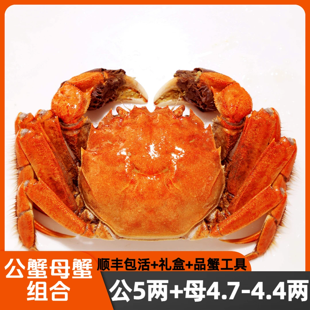【活蟹】4.7-4.4两母蟹+5两公蟹4-12只江苏大闸蟹螃蟹鲜活顺丰