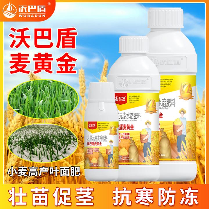 【沃巴盾】麦黄金抗寒防冻壮苗促茎抗逆抗倒伏穗大粒饱水溶肥料