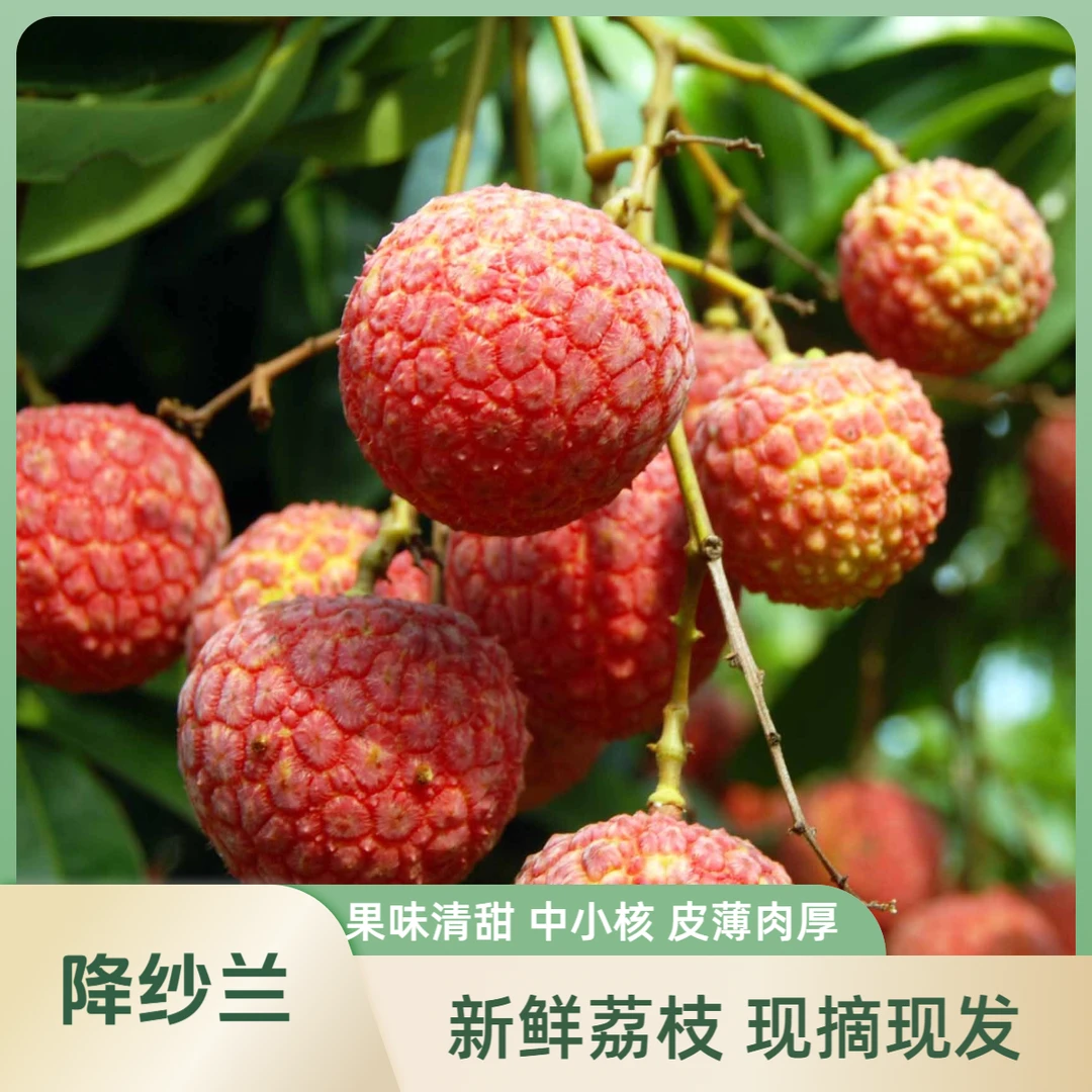 合江红灯笼荔枝鲜甜多汁(中果中核)顺丰冷链川渝包邮