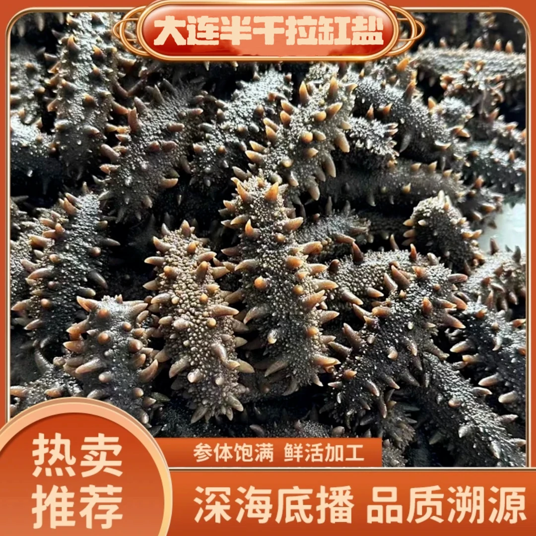 【新品】正宗大连 拉缸盐 半干底播海参  一斤40-50左右