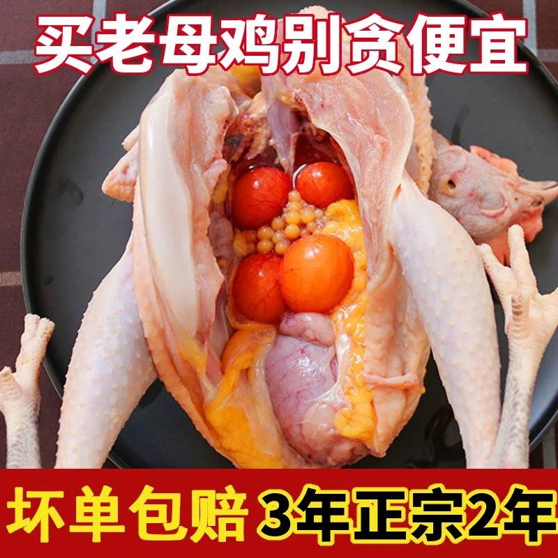 【顺丰包邮】2年正宗老母鸡山林鸡肉新鲜放养土鸡孕妇滋补柴鸡皖