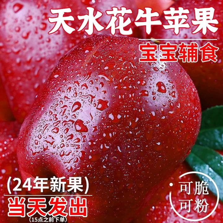 甘肃天水正宗花牛苹果新鲜水果婴儿宝宝辅食当季红粉面沙甜刮泥