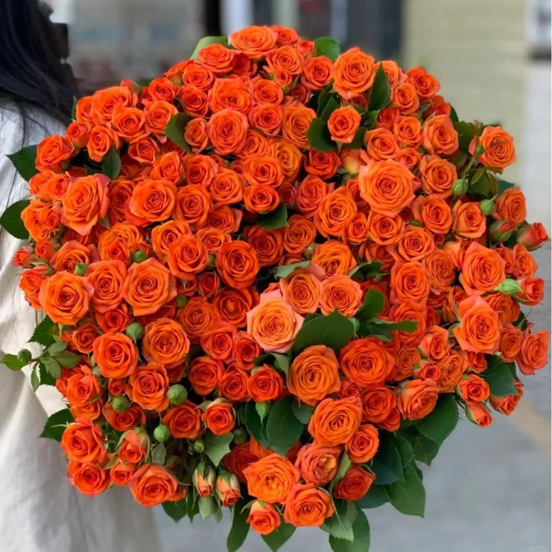 【全疆京东包邮】橙色芭比多头泡泡玫瑰10枝。