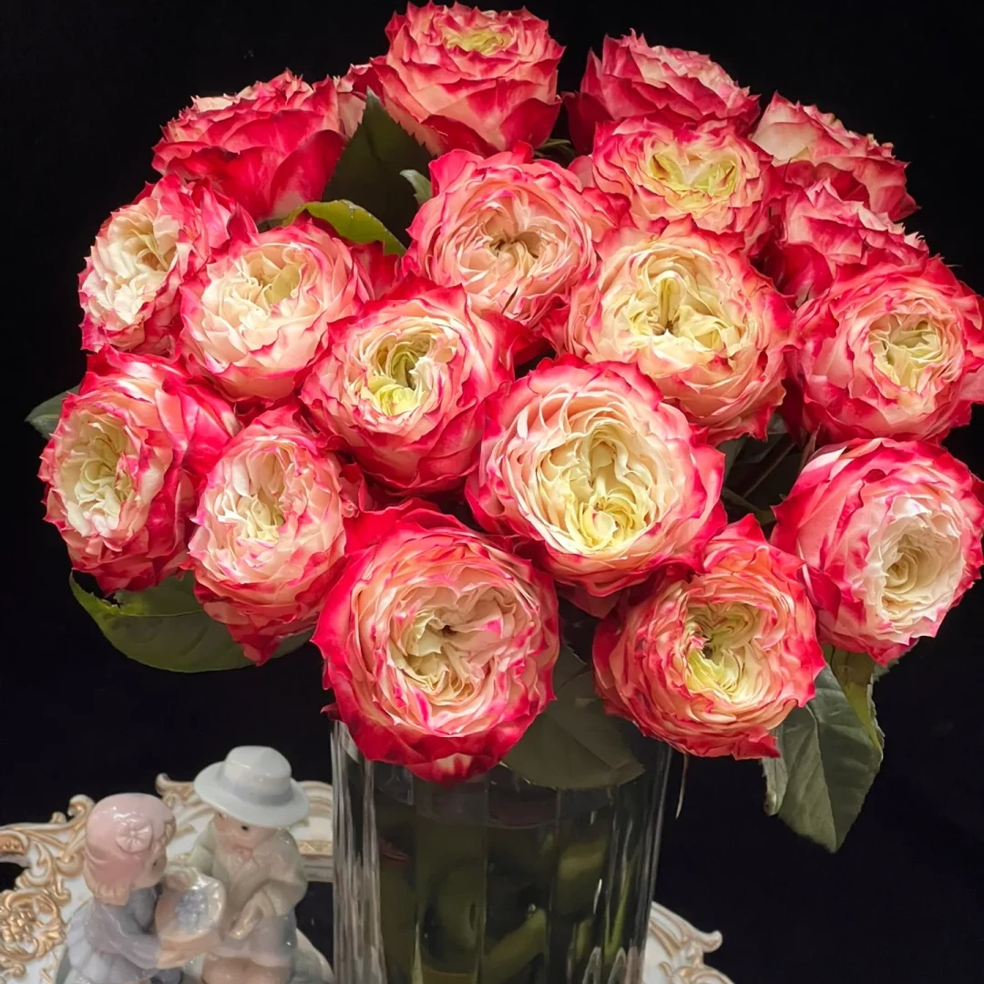 【全疆京东包邮】苹果杰克玫瑰16枝（多给4枝售后）