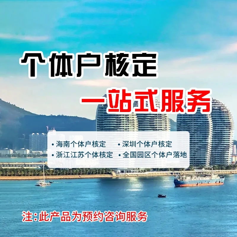 个体核定咨询办理+赠送合规方案电子档