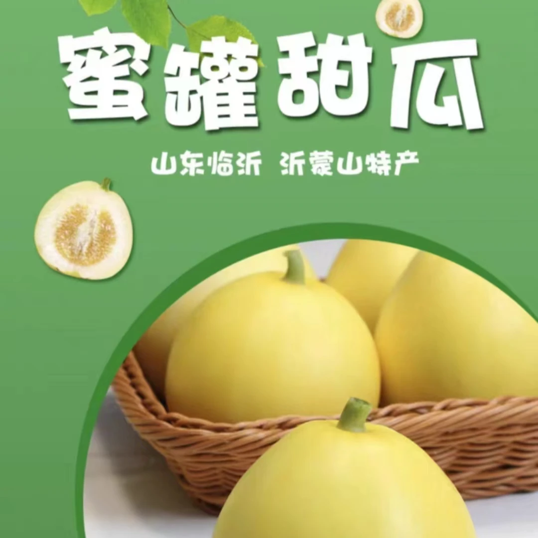 山东香甜小蜜蜂甜瓜甘甜多汁现摘现发新鲜脆嫩鲜甜特产头茬精选