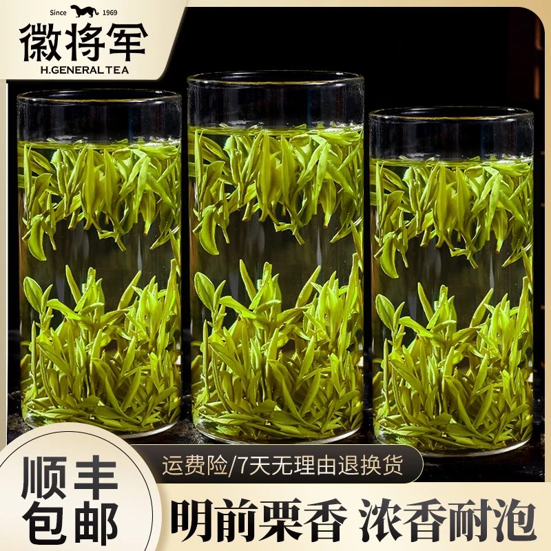 徽将军茶府|B38明前毛峰嫩芽新茶茶叶春茶500g/250g浓香耐泡绿茶