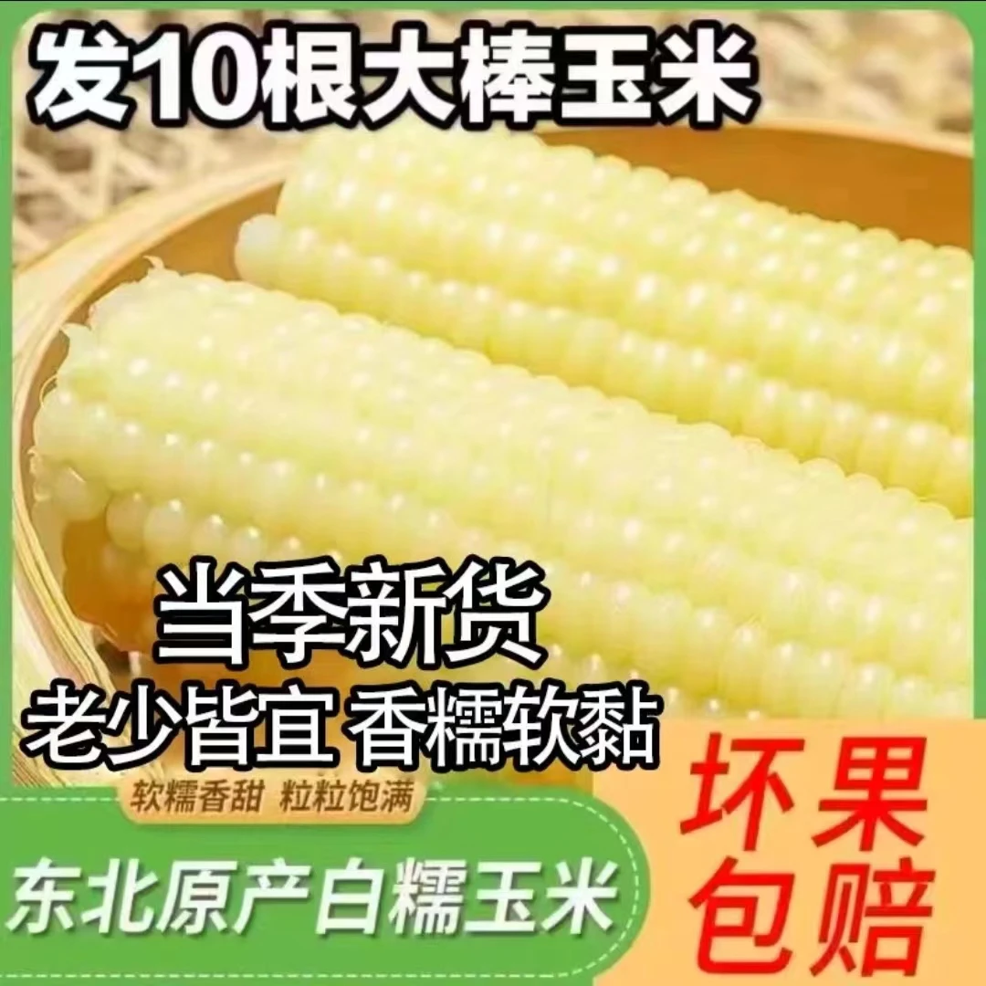 【250-350g/根】拍8根送2根到手十根东北白糯玉米真空包装软糯香甜