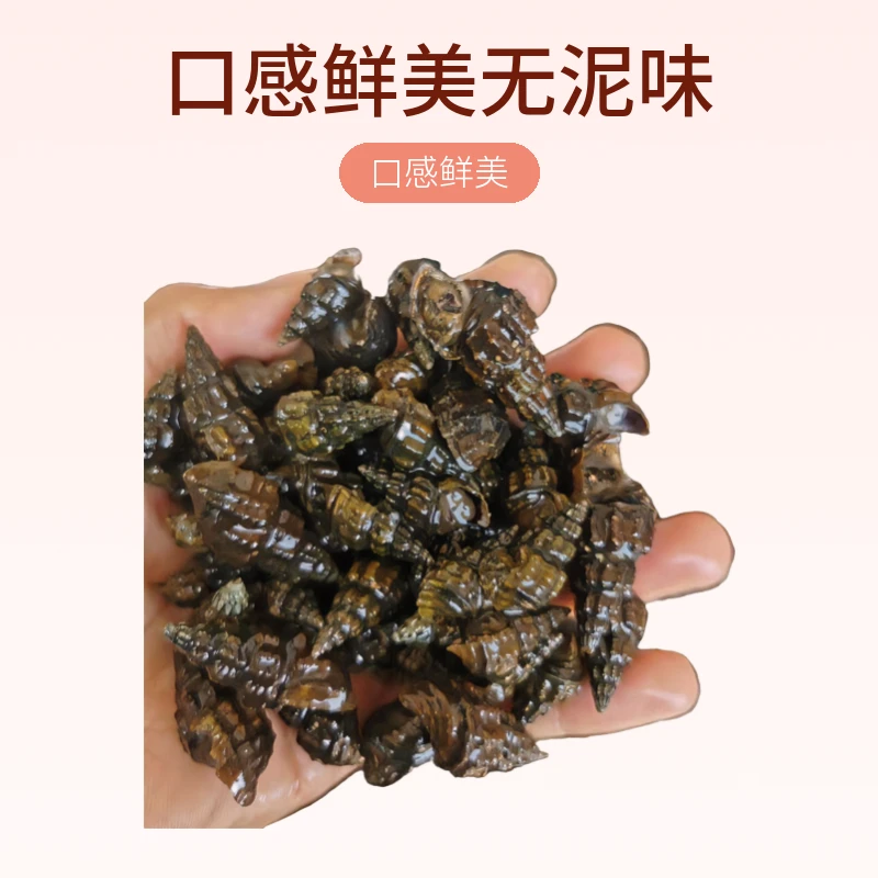 山坑螺鲜活淡水螺妞丝螺野外生长河螺口感鲜美无泥味2斤顺丰快递