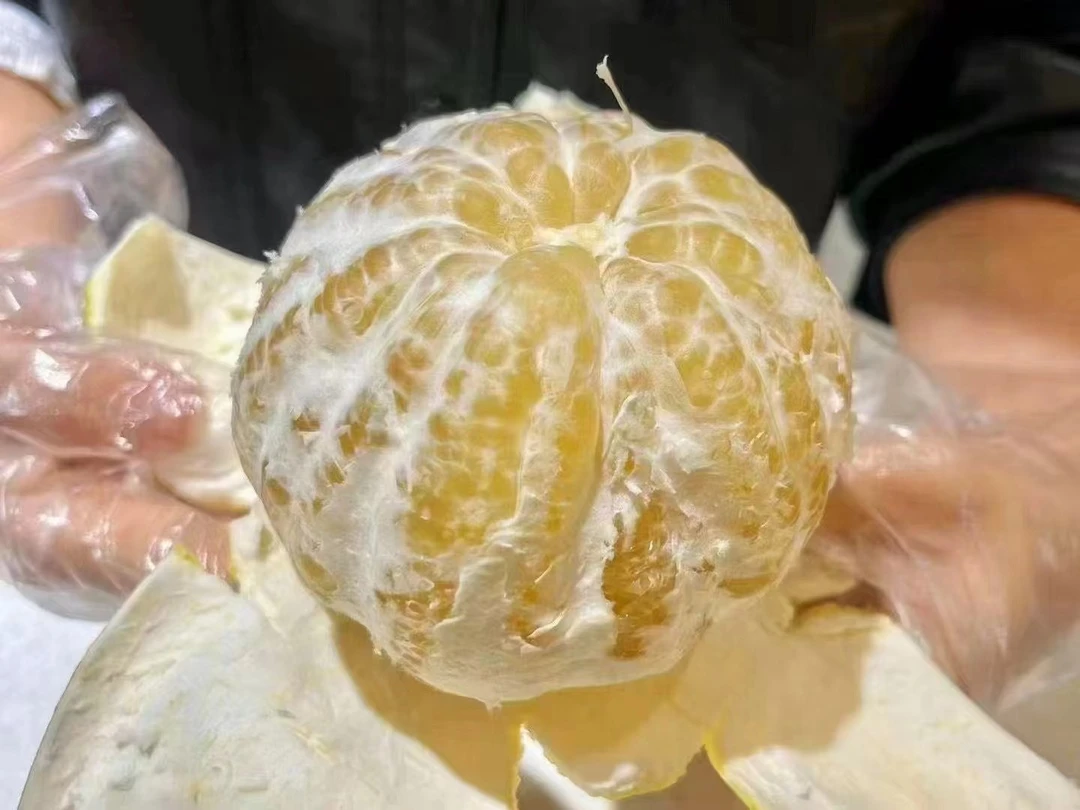 【爆汁葡萄柚】皮薄 汁多 水分足 3个9.9元/外送到家~