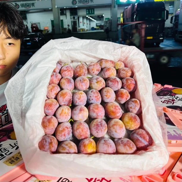新疆法兰西伽师西梅