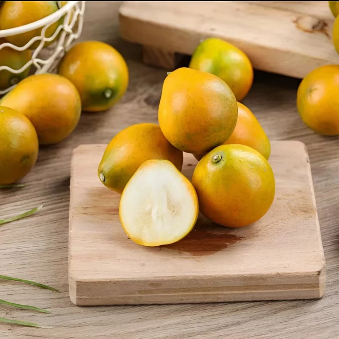 【盾哥严选】广西融安第三代脆蜜金桔 顺丰包邮