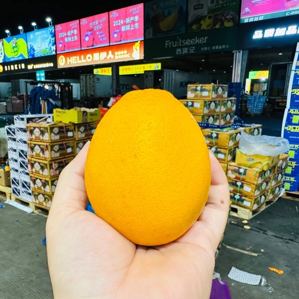 南非进口金巴利甜橙 9分甜1分酸 橙味浓郁