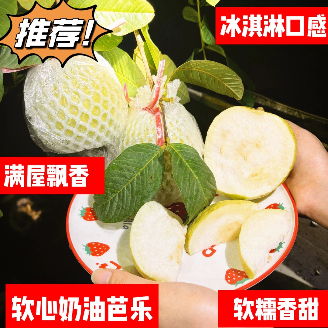 广东潮汕冰淇淋芭乐白心软糯番石榴包邮现摘农产品