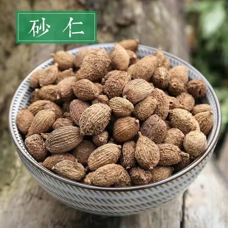 沙仁香料产地春沙仁干货毛沙仁果干果沙仁浓郁大料煲汤蒸肉
