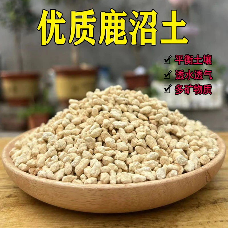 鹿沼土 进口酸性颗粒土杜鹃茶花茉莉喜酸植物拌土铺面排水透气