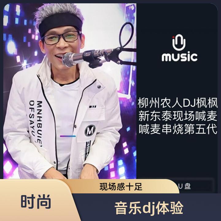 dj枫枫喊麦串烧流行中文经典新东泰DJ环绕重低音高音质即用车载盘