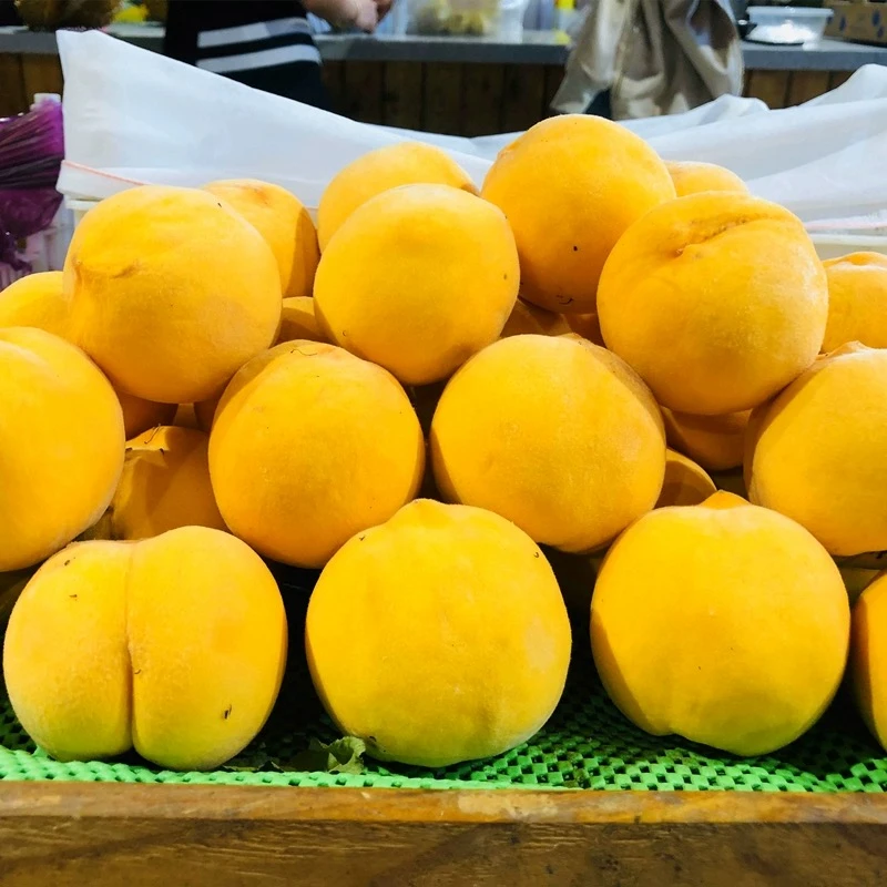 黄桃4个黄桃同城送