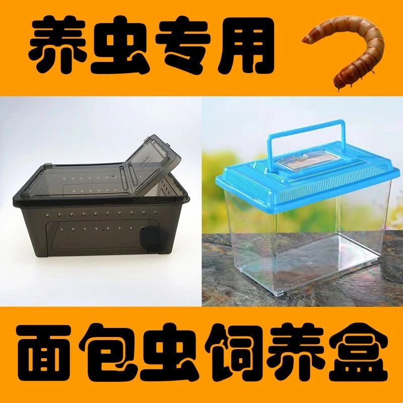 面包虫饲养盒饲养箱面包虫养殖宠物饲养盒学生养蚕盒耐用透明