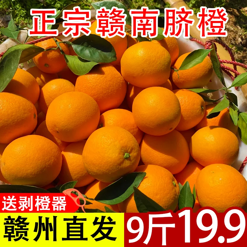 正宗赣南脐橙新鲜水果应当季赣州橙子榨汁现摘手剥橙香爆汁原产地