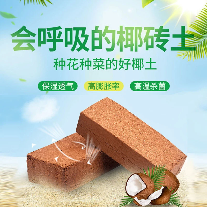 椰砖营养土养花阳台种菜脱盐种植椰壳通用型土壤大块耶砖椰糠福利