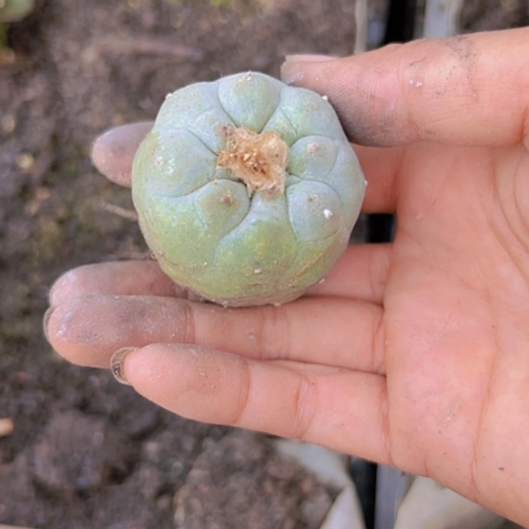 【闪购商品】2227海鲜福利
