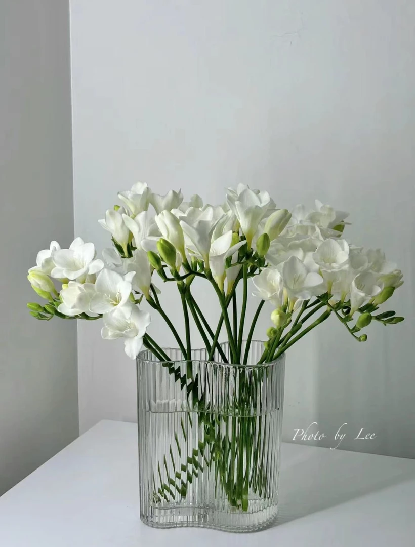 丽莎鲜花香雪兰甜甜的香味很好闻哦(✪▽✪)不拍保温棉不发货