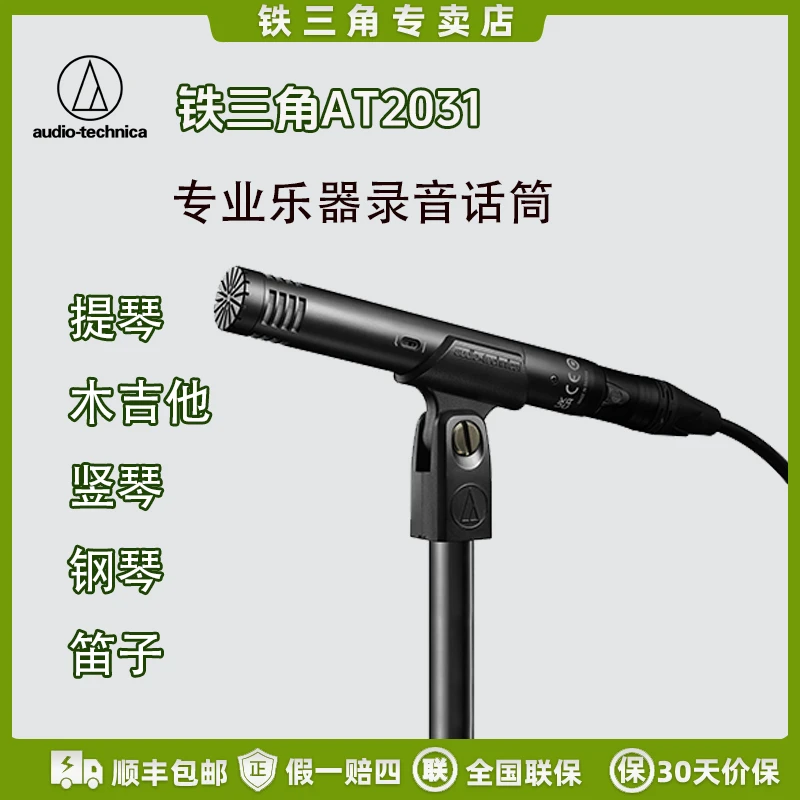铁三角专业话筒at2031小振膜电容麦克乐器专用吉他录音麦克风