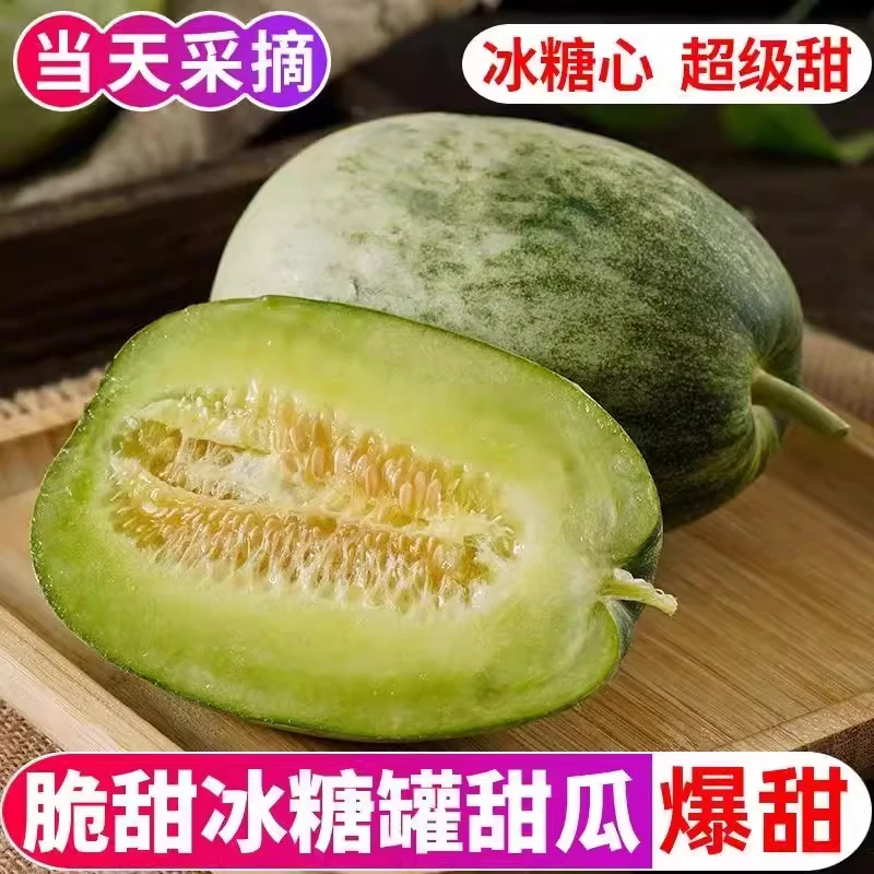 青州特产金冠头茬白玉甜瓜当季水果冰糖罐金冠包赔采摘超大食用