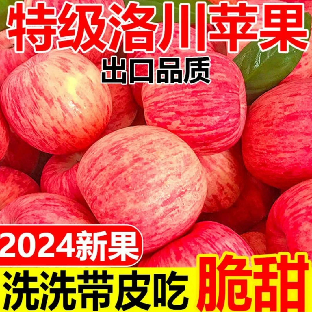 【脆甜十斤果王】正宗陕西洛川高山红富士苹果 脆甜多汁