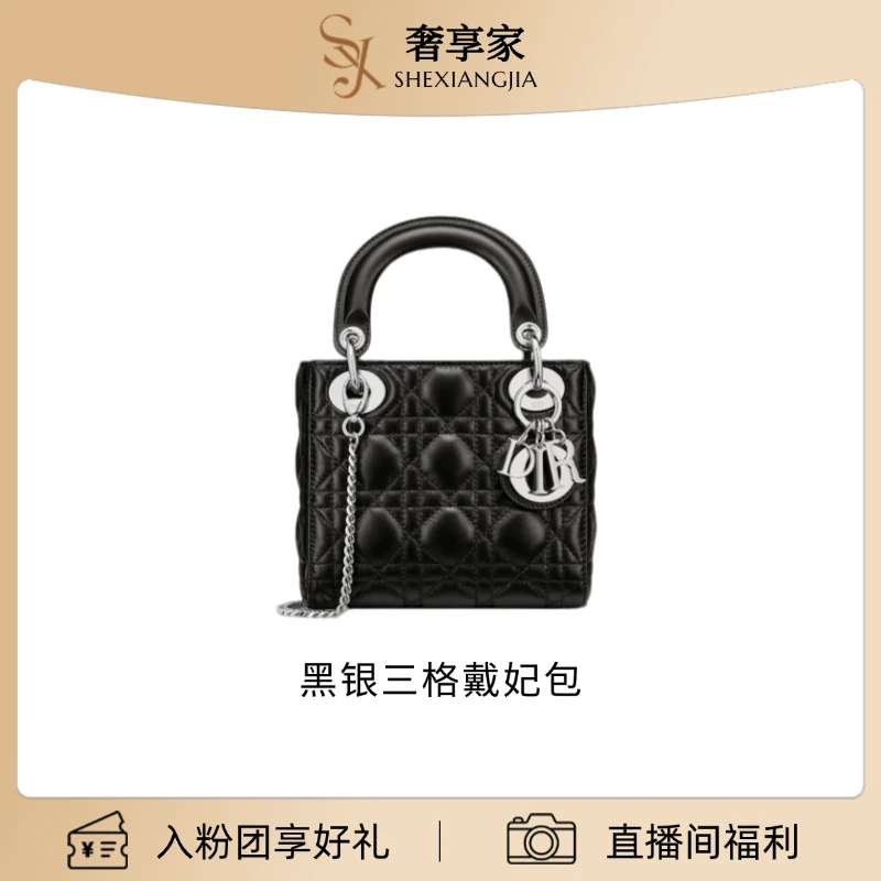 95新  98新/Dior迪奥/黑银三格戴妃包斜挎包 （1126）