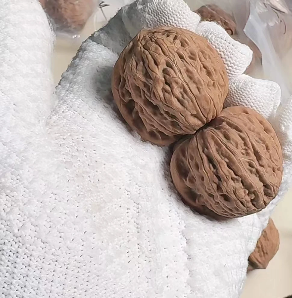 精对铁锤妹妹核桃