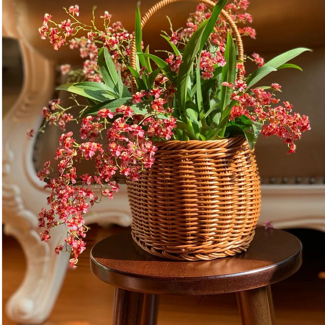 （新号福利）梦香兰/酒红色/摆放客厅.阳台.茶几.卧室/花香浓郁.