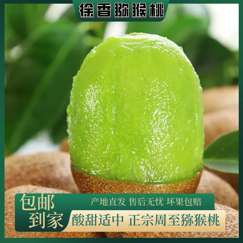 【甄选】陕西正宗周至徐香绿心猕猴桃 当季头茬猕猴桃现摘酸甜爽口