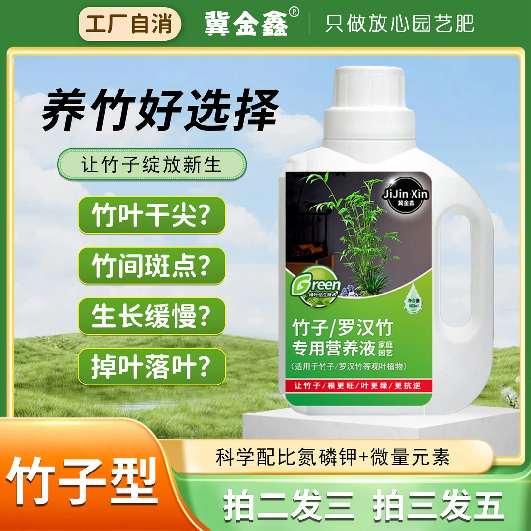 【拍二发三】竹子专用营养液佛肚罗汉富贵观音凤尾竹黄叶烂根水培液