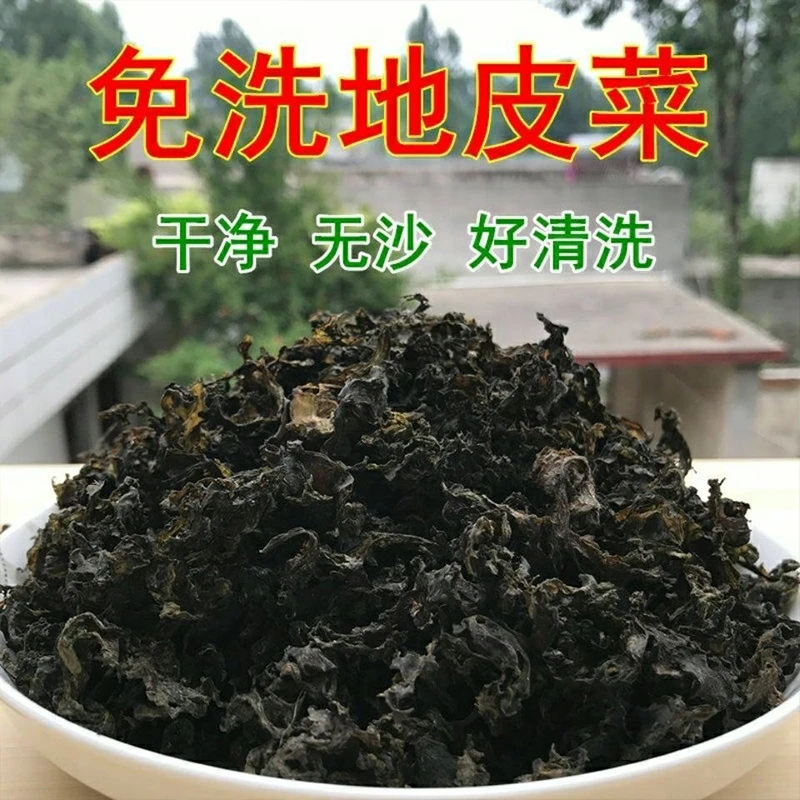 地皮菜 干净地达菜包包子 自然风干地软儿无添加50克包邮
