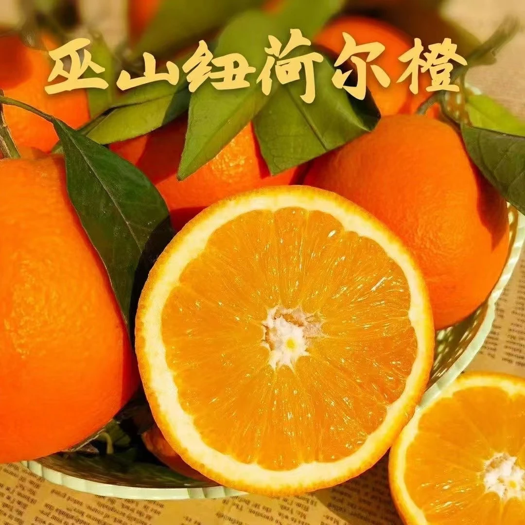 重庆巫山纽荷尔橙新鲜橙子现摘现发恋橙拍5斤发6斤