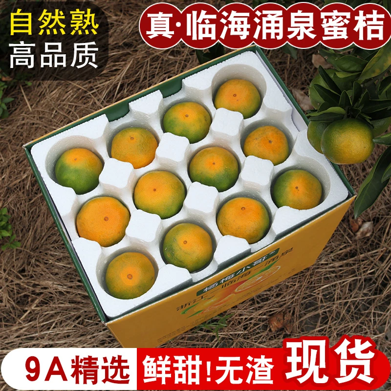 现摘速发】9A高山特甜正宗临海涌泉蜜桔新鲜浙江蜜桔水果礼盒顺丰