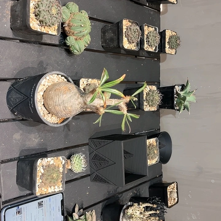 红陶20CM（含）-50CM（不含）。**！