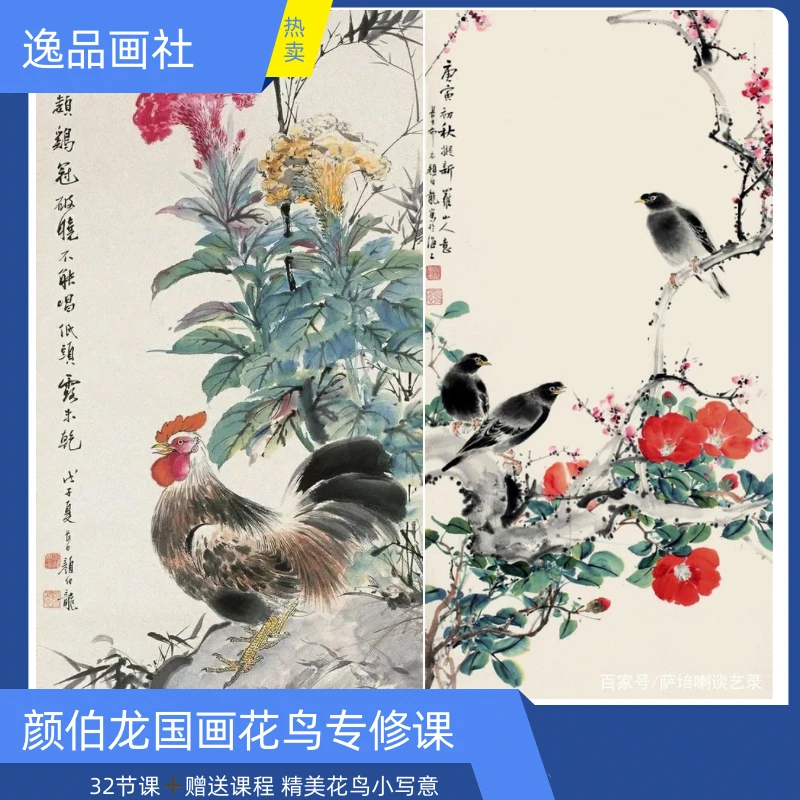 国画颜伯龙花鸟专修课小写意（独立课包）