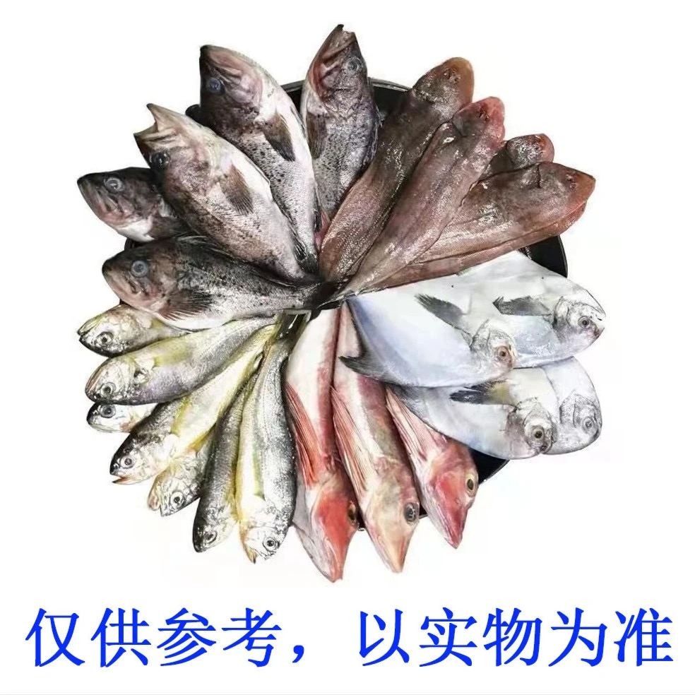 大连本地小船杂拌鱼（小号）4斤/速冻发货