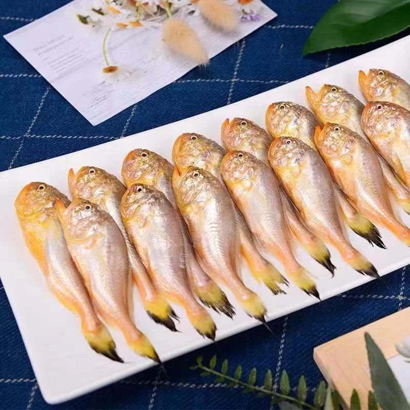 大连本地大头宝鱼/4斤/嫌小勿拍