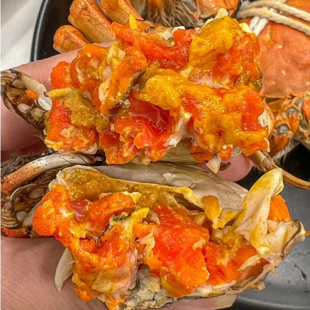 【曦哥家 无黄包赔死蟹包赔】江苏大闸蟹母2.3-2.6两/只 只发渝贵川