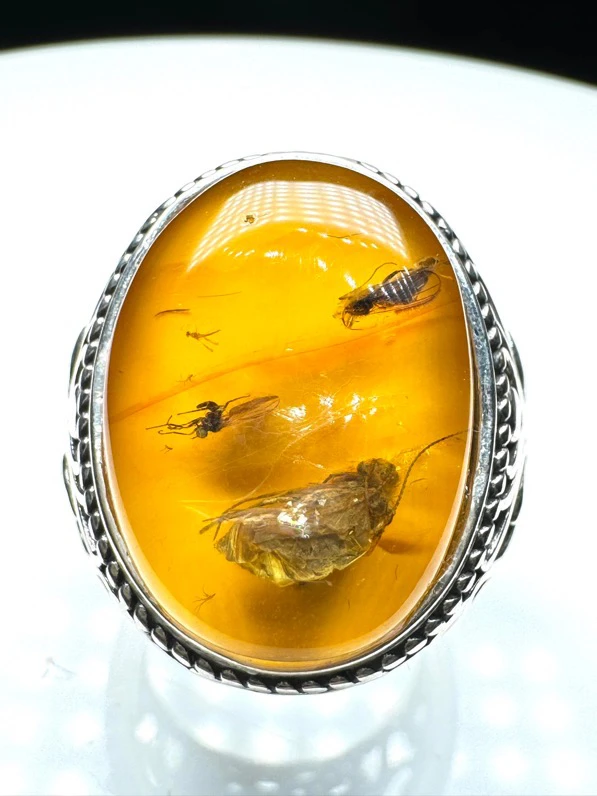 琥珀虫皮包裹3只虫镶925银活口戒指，天然原矿保真