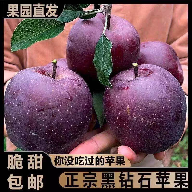 云南昭通黑卡苹果稀有黑钻苹果3斤5斤/8.5斤家庭天然脆甜多汁包邮